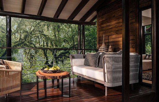 oneonly Nyungwe house